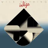 Konkurrent Wild Nothing - Indigo (LP)