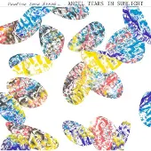 Modulor Cnt Pauline Anna Strom - Angel Tears In Sunlight (CD)