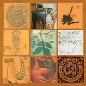 Konkurrent Califone - All My Friends Are Funeral Singers (2 LP)
