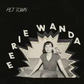 Konkurrent Eerie Wanda - Pet Town (LP)