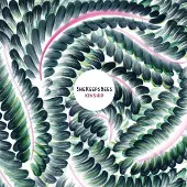 Konkurrent She Keeps Bees - Kinship (LP)