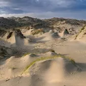 Konkurrent White Manna - Dune Worship (LP)