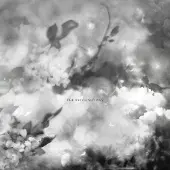 Konkurrent Exitmusic - The Recognitions (LP)