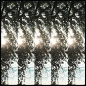Konkurrent Pontiak - Dialectic Of Ignorance (LP)
