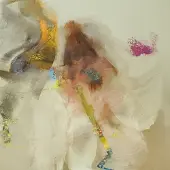 Konkurrent Flock Of Dimes - Head Of Roses (LP)