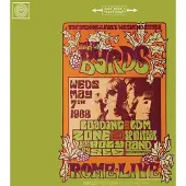 Konkurrent The Byrds - Live in Rome 1968 (LP)