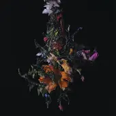 Konkurrent Big|Brave - Nature Morte (CD)
