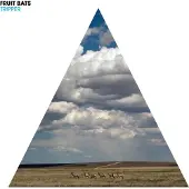 Konkurrent Fruit Bats - Tripper (LP)