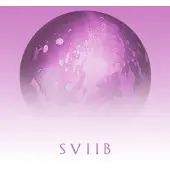 Konkurrent School Of Seven Bells - SVIIB (LP) (Limited Edition) (Coloured Vinyl)
