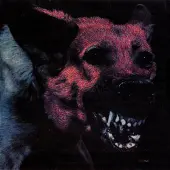 Konkurrent Protomartyr - Under Color Of Official Right (CD)