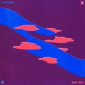 Modulor Cnt Holy Hive - Holy Hive (CD)
