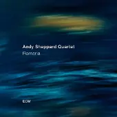 OUTHERE Andy Sheppard Quartet - Romaria (CD)