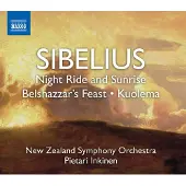 OUTHERE New Zealand Symphony Orchestra, Pietari Inkinen - Sibelius: Night Ride & Sunrise (CD)