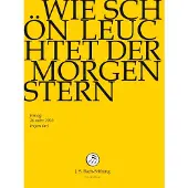 OUTHERE Wie Schon Leuchtet Der Morgenstern DVD