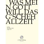 OUTHERE Chor & Orchester Der J.S. Bach-Stiftung, Rudolf Lutz - J.S. Bach: Was Mein Gott Will, Das G'sch (DVD)