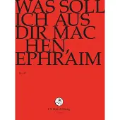OUTHERE Chor & Orchester Der J.S. Bach-Stiftung, Rudolf Lutz - J.S. Bach: Was Soll Ich Aus Dir Machen, (DVD)