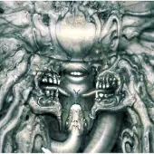 Universal Music Danzig 3