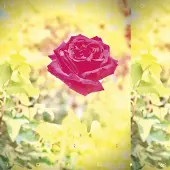 Konkurrent Lambchop - Trip (CD)