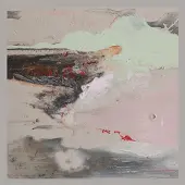 Konkurrent Salad Boys - This Is Glue (CD)