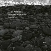 OUTHERE Marco Ambrosini & Ensemble Supersonus - Resonances (CD)