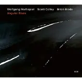 OUTHERE Wolfgang Muthspiel, Scott Colley, Brian Blade - Angular Blues (CD)