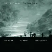 OUTHERE Robin Williamson - The Iron Stone (CD)