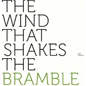Konkurrent Peter Broderick - The Wind That Shakes The Bramble (LP) (Mini-Album)