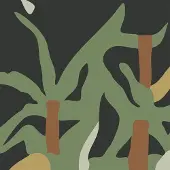 Konkurrent Valet - Nature (CD)