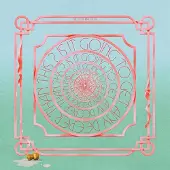 Konkurrent The Soft Pink Truth - Is It Going To Get Any Deeper Than This? (2 LP)