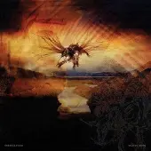 Konkurrent Rebecca Foon - Waxing Moon (LP)
