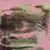 Cd Deerhunter - Fluorescent Grey (CD)