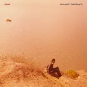 Import Greys - Age Hasn't Spoiled You (LP)