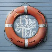 Konkurrent Big Tide - Sync Or Swim (LP)