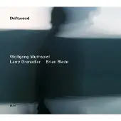 OUTHERE Wolfgang Muthspiel, Larry Grenadier, Brian Blade - Driftwood (CD)