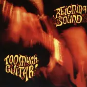Konkurrent Reigning Sound - Too Much Guitar (CD)