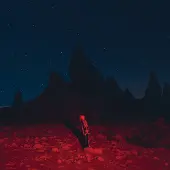 Import Phoebe Bridgers - Punisher (LP)