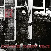 Konkurrent The Ex - Disturbing Domestic Peace (LP)