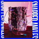 Konkurrent Snapped Ankles - Forest Of Your Problems (CD)