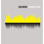 Import MODERN RUIN