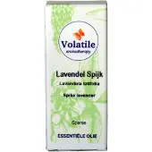 Volatile Lavendel spijk
