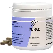 Holisan Punar Capsules 95st