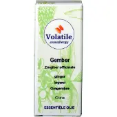 Volatile Gember