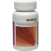Ayurveda Health Guggulu 120 tabletten