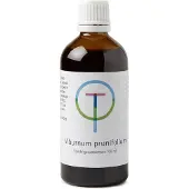 Therapeutenwinkel Viburnum prunufolium 100 ml
