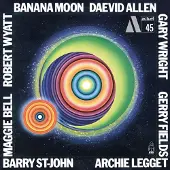 Bigwax Dis Cnt BANANA MOON