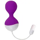 Wonderlust Ei Vibrator Clarity Paars 8 cm