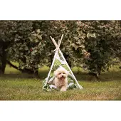 Croci Teepee Jungle