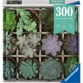 Ravensburger Green