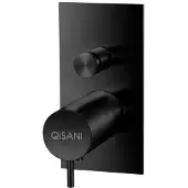 Qisani Inbouwkraan flow thermostatisch 2-weg vierkant geborsteld mat zwart