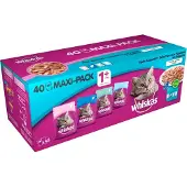 Whiskas Maxi Pack Ragout in Gelee 40x85g